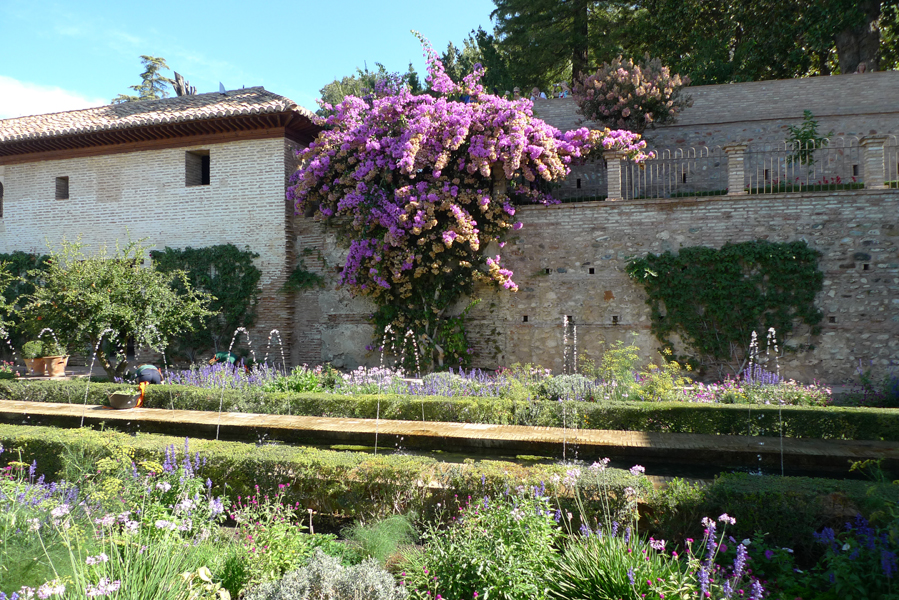 Thursday September 25th (2014) Generalife garden width=