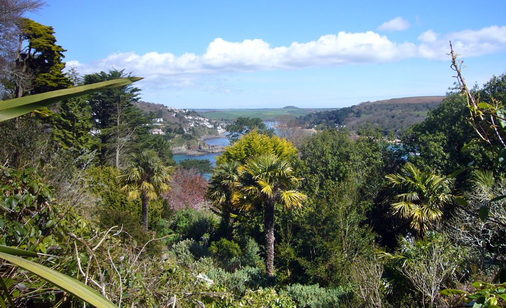 Sunday April 12th (2009) Overbecks width=