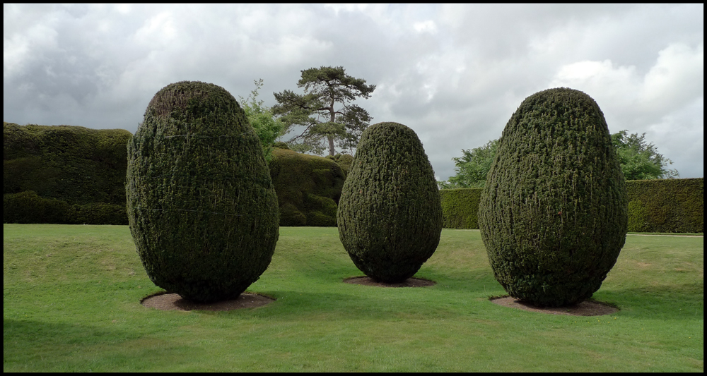 Thursday June 17th (2010) Three Trees width=