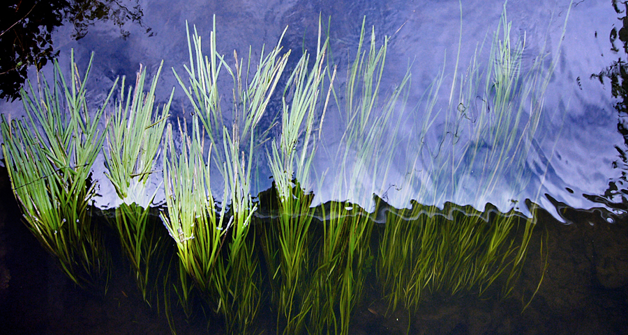 Saturday September 1st (2007) Reflection width=