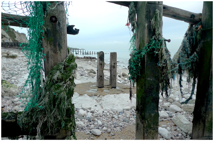 Monday November 11th (2013) On the Beach again ... width=