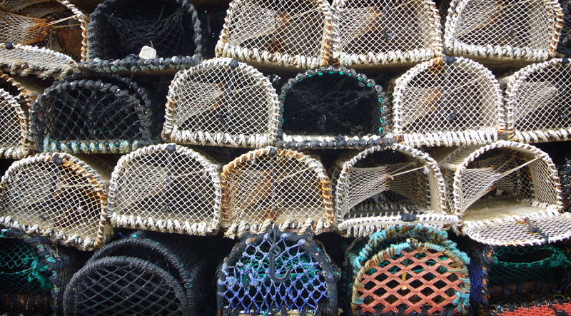Wednesday February 28th (2007) Are these lobster pots? width=
