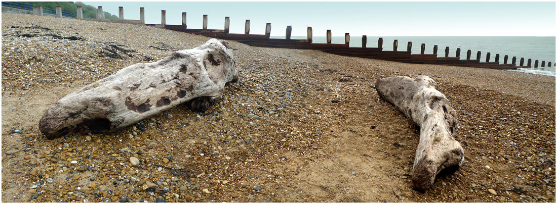 Monday November 18th (2013) Log washed up in the storm ... width=