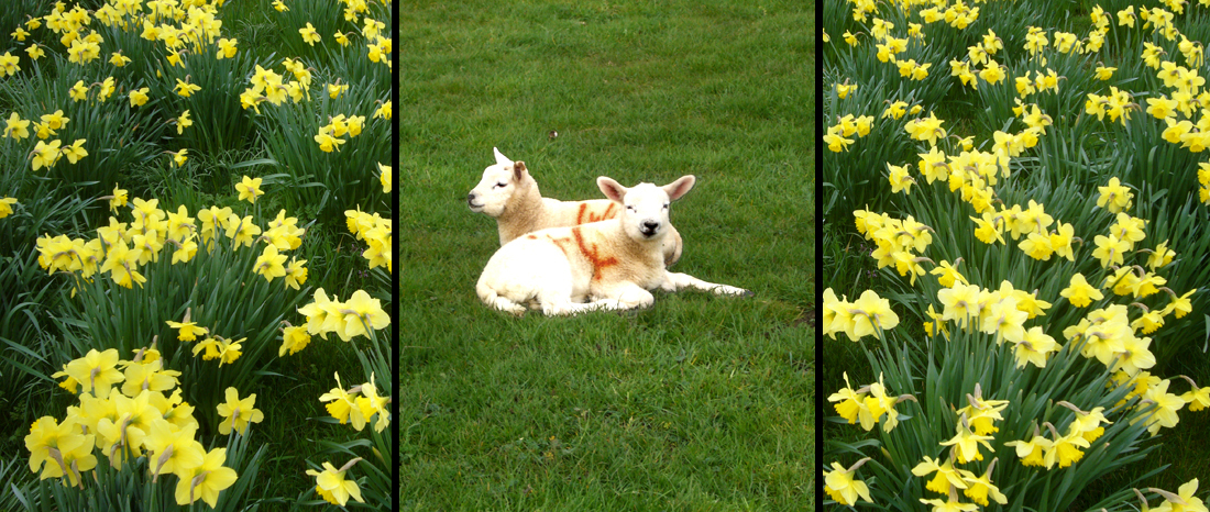 Tuesday April 3rd (2018) I think Spring might be here at last. width=