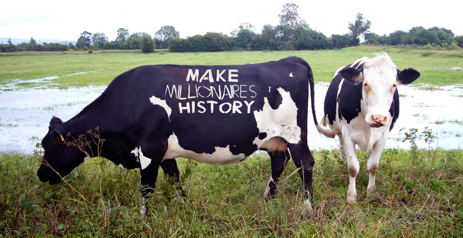 Sunday July 1st (2007) Two Cows width=