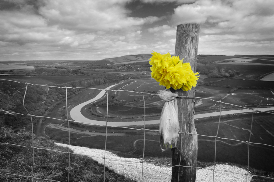 Tuesday April 7th (2015) Daffs width=