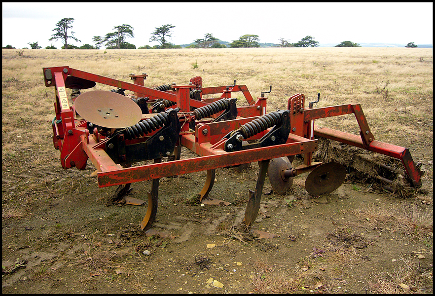 Saturday September 5th (2009) In the Fields width=