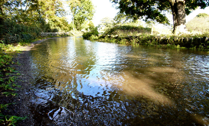 Tuesday October 24th (2006) Flooded width=