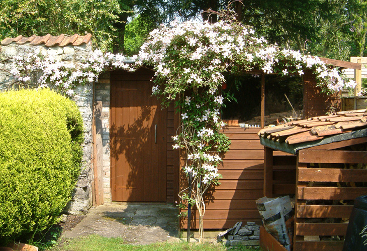 Monday May 8th (2006) Clematis width=