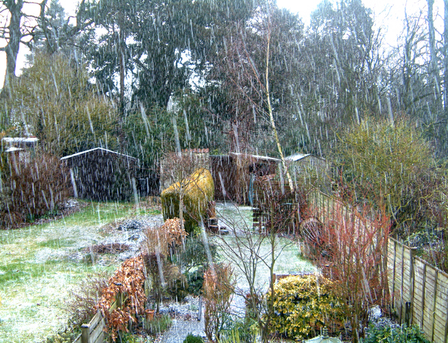 Sunday March 5th (2006) Hailstones width=