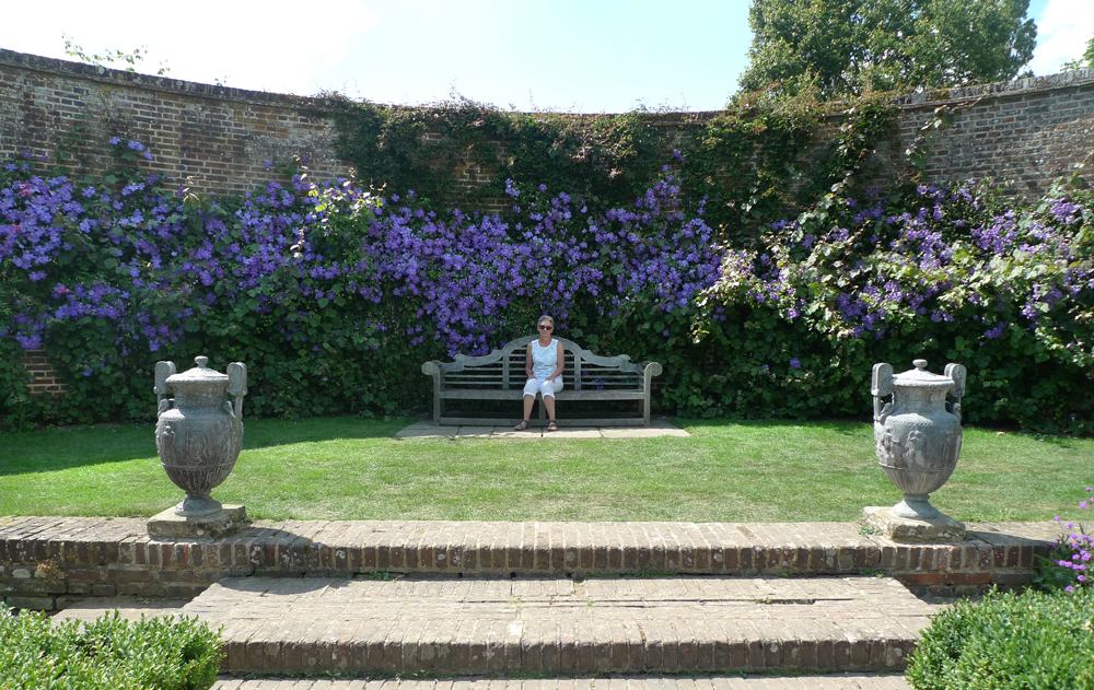 Friday July 13th (2018) Clematis Perle d'Azur width=