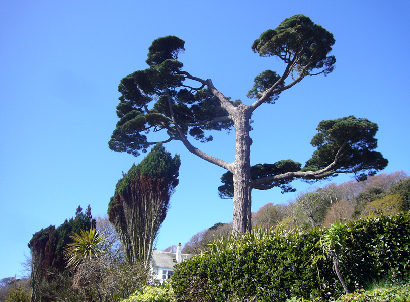 Saturday April 11th (2009) Blue Sky width=