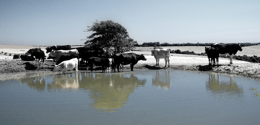 Thursday November 1st (2007) Winter is just around the corner width=