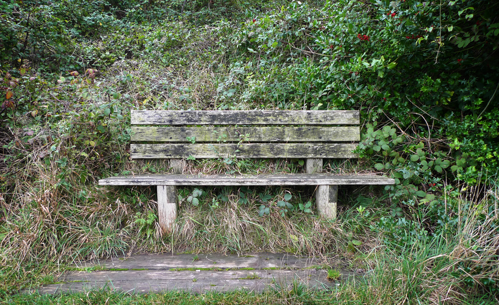 Tuesday November 3rd (2020) Bench before Lockdown #2 width=