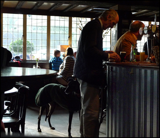 Sunday January 29th (2012) One Man and his Dog width=