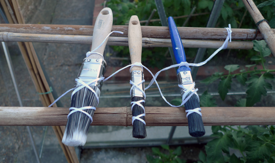 Saturday July 4th (2015) Cleaned and put in the greenhouse to dry. width=