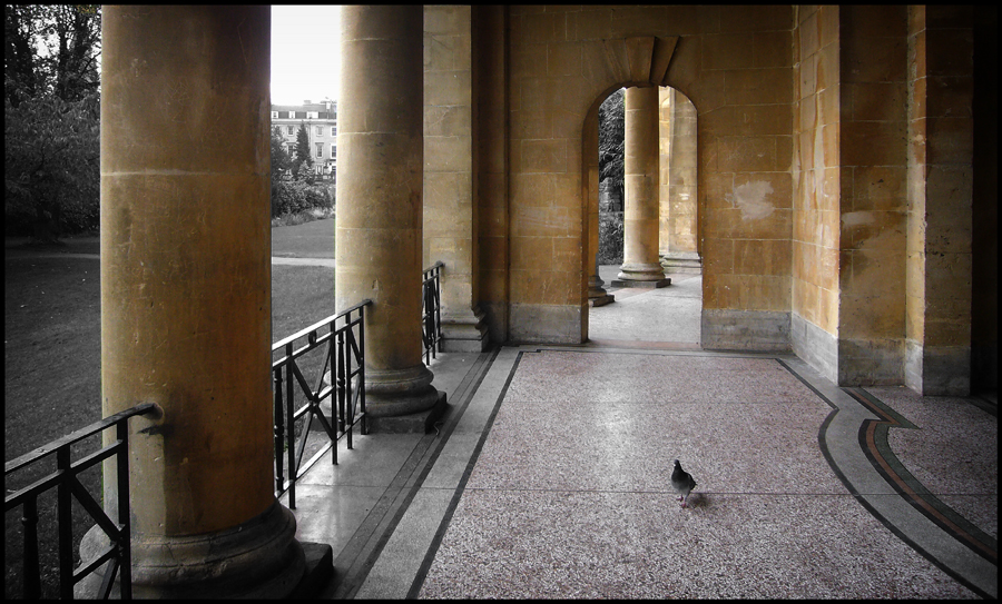 Thursday October 23rd (2008) Bath Stone width=