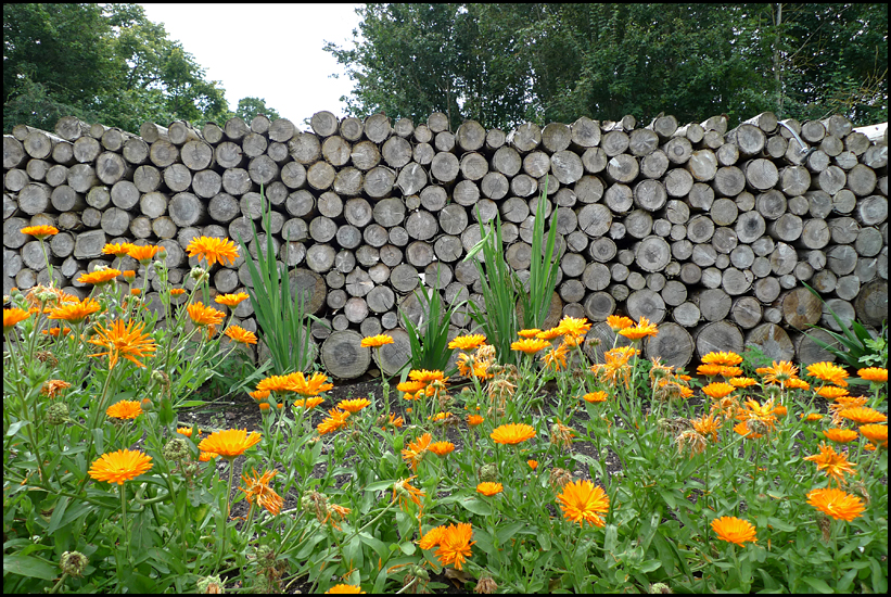 Tuesday August 21st (2012) Log wall ... width=