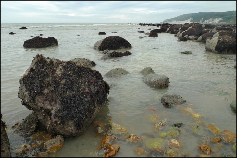 Saturday September 10th (2011) Low Tide width=