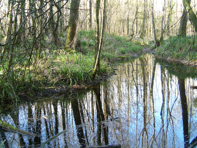 Tuesday April 25th (2006) Reflection width=