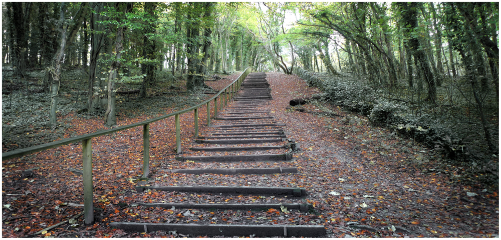 Friday November 8th (2013) Steps going up ... width=