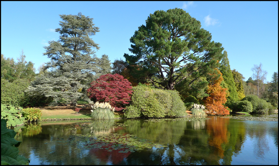 Wednesday October 19th (2011) Sheffield Park Gardens width=