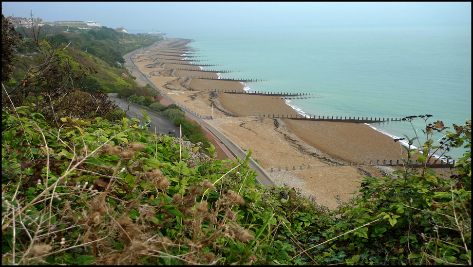 Monday October 31st (2011) A View from Helen Gardens width=