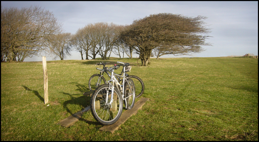 Friday January 13th (2012) Willingdon Hill (184metres) width=