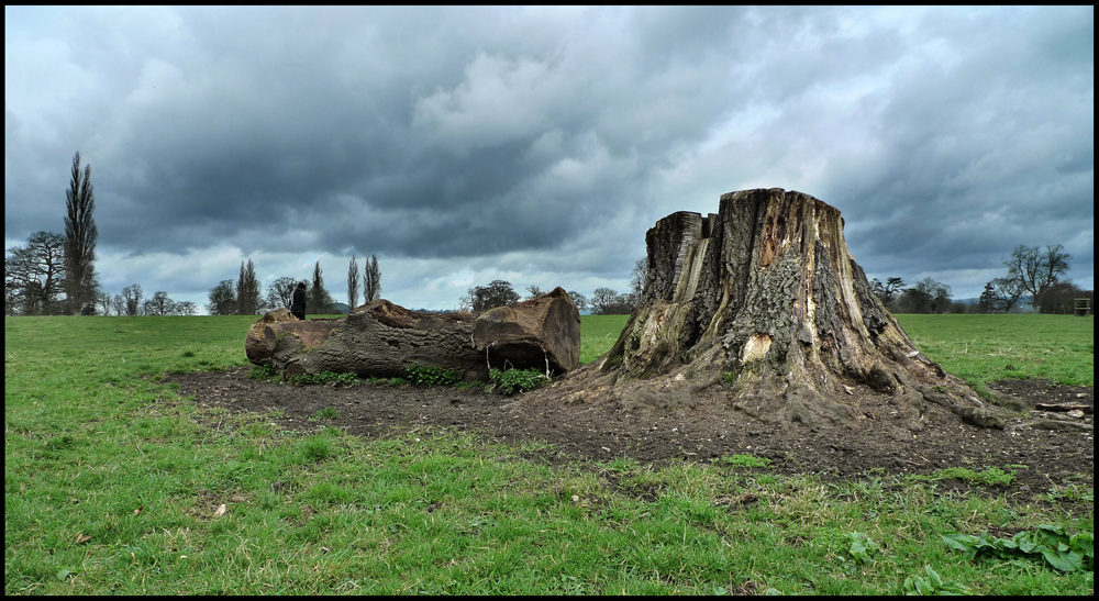 Thursday March 25th (2010) Stump width=