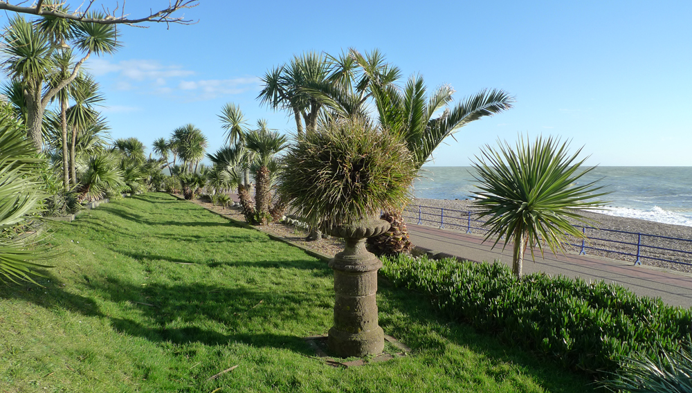 Saturday January 13th (2018) Spikes by the Promenade width=