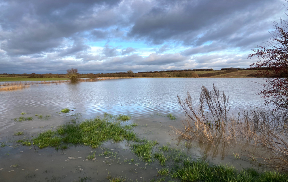 Saturday January 6th (2024) Another view of the flooding width=