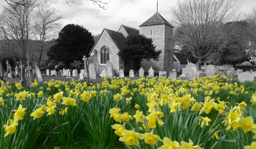 Wednesday March 27th (2019) Daffs at East Dean Church. width=