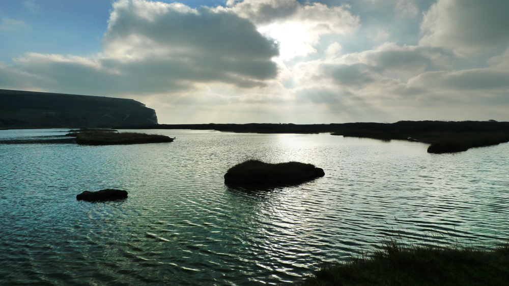 Saturday January 15th (2022) Exceat and Cuckmere Haven width=