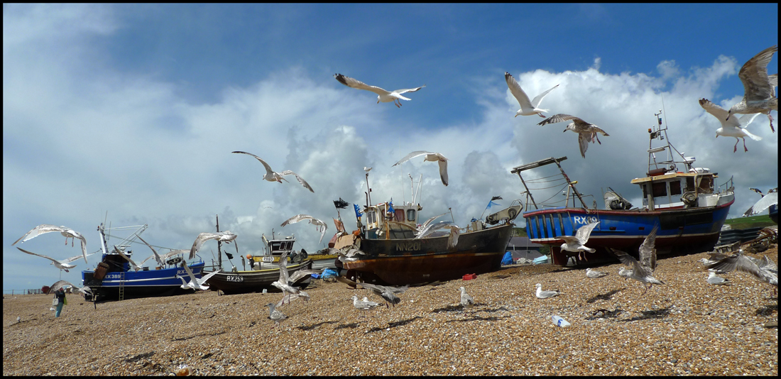 Saturday July 14th (2012) Boats and Gulls width=