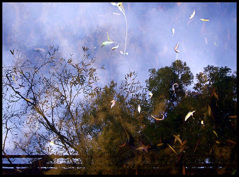 Sunday October 14th (2007) Reflection width=