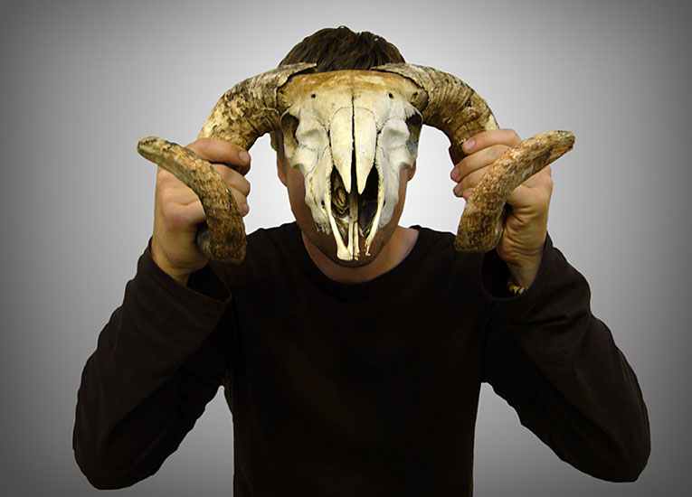 Thursday May 3rd (2007) Tom width=