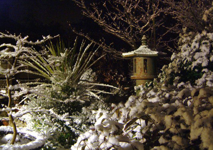 Wednesday March 1st (2006) A Light Dusting width=
