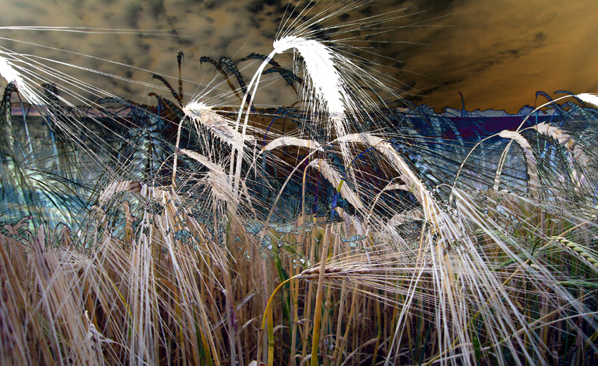 Friday June 29th (2007) Field width=