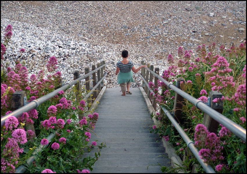 Wednesday July 10th (2013) Steps down to the Holywell spring. width=