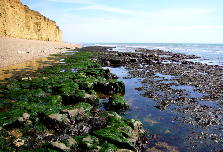 Sunday August 27th (2006) Burton Bradstock width=
