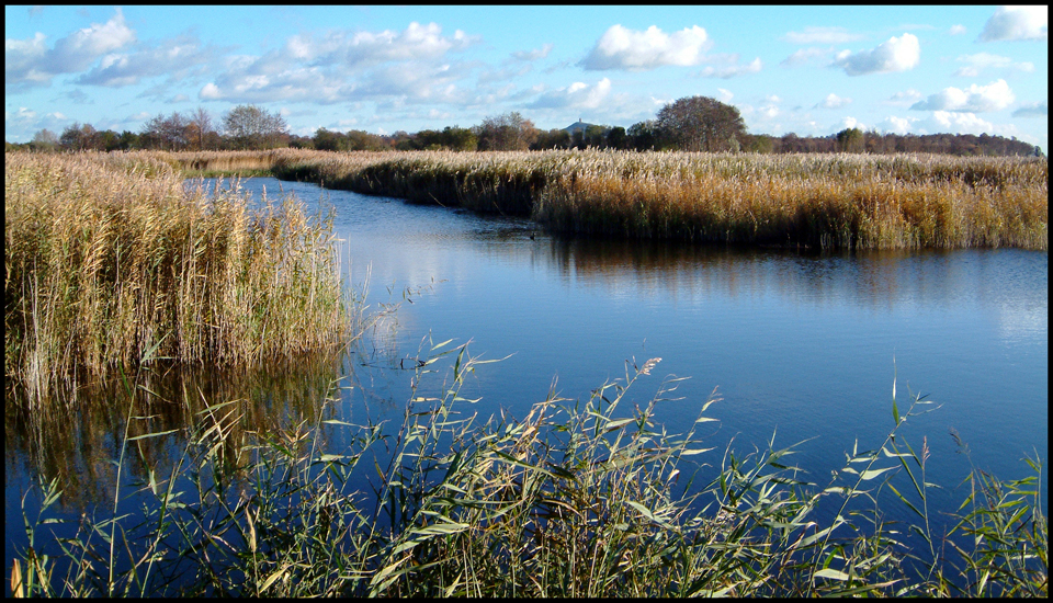 Friday February 12th (2010) Glastonbury Tor width=