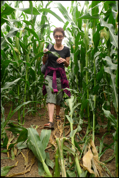 Sunday August 8th (2010) Madwoman's Lane width=