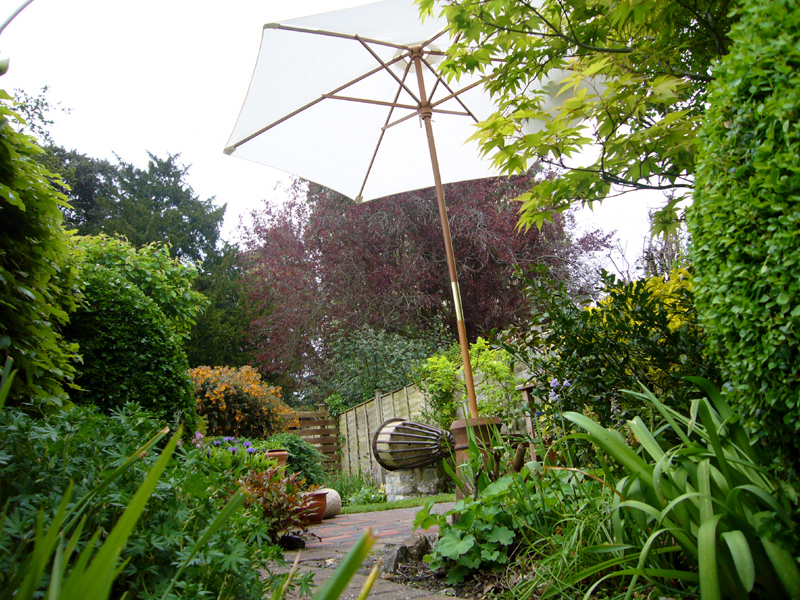 Monday May 12th (2008) Garden width=