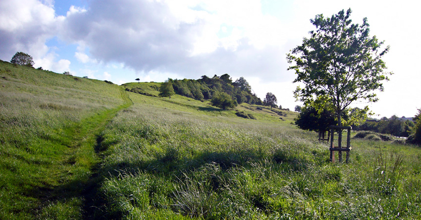 Saturday May 19th (2007) Wearyall Hill width=