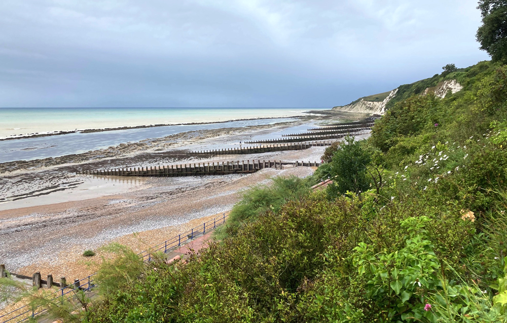 Monday August 7th (2023) Very low tide .... width=