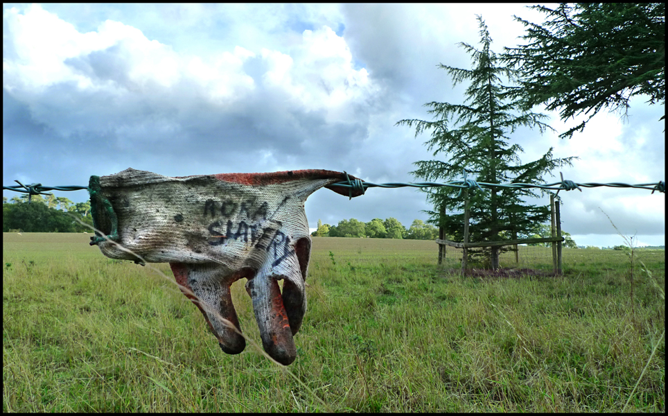 Saturday September 18th (2010) Rural Slavery width=