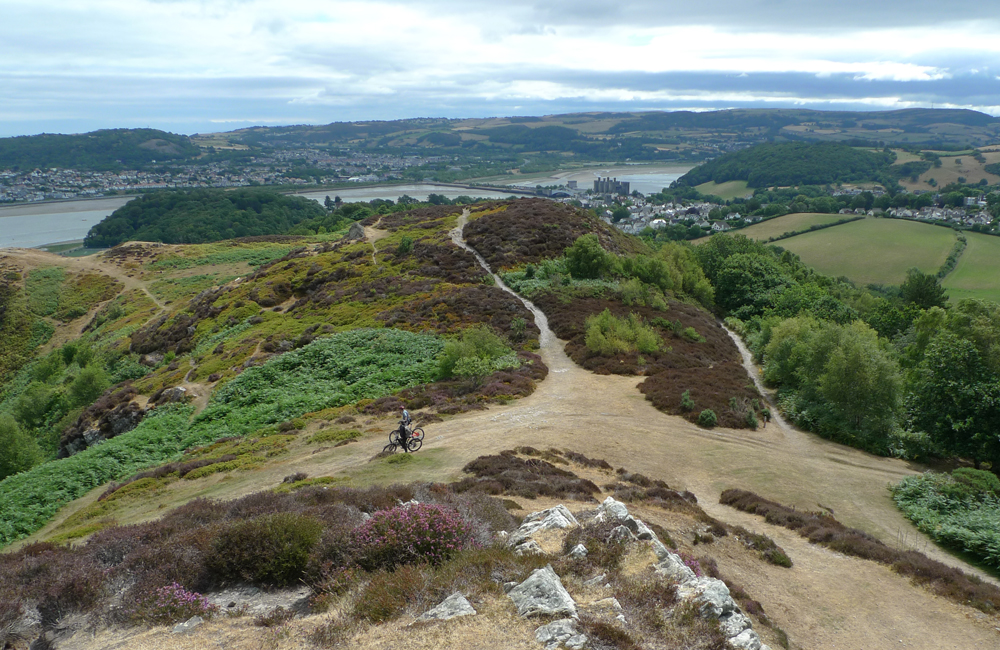 Saturday July 4th (2026) View from the top of Conwy mountain width=