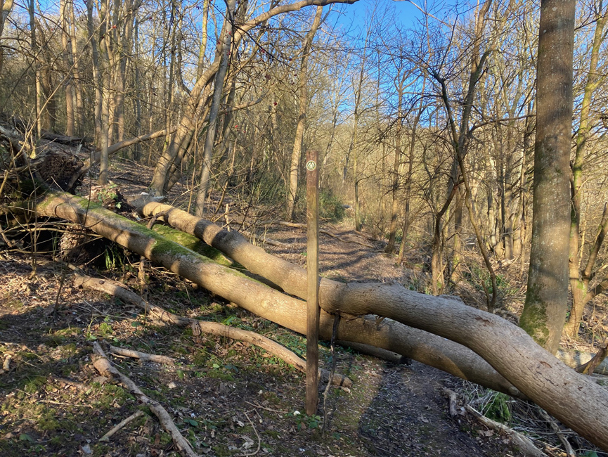 Wednesday January 10th (2024) The Jubilee Way on a freezing cold sunny day. width=