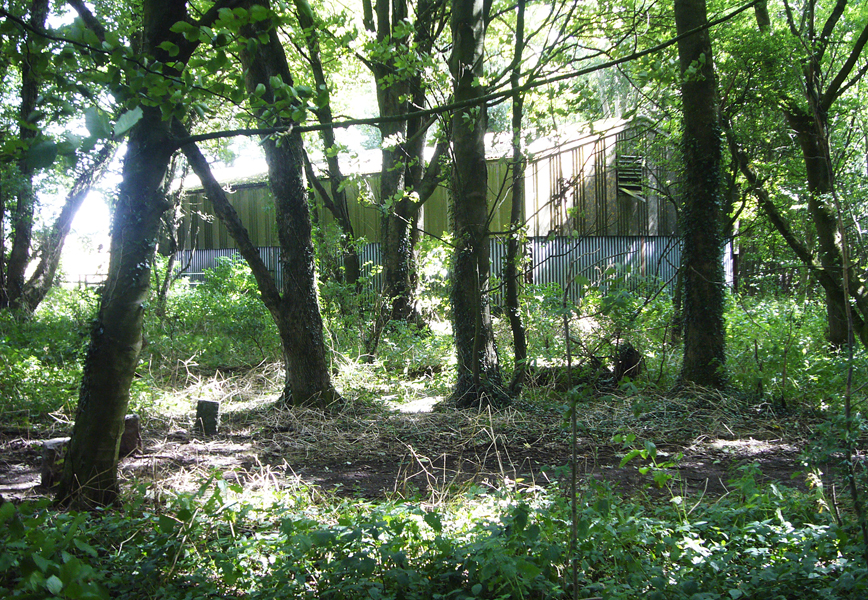 Wednesday August 3rd (2016) Shed in the wood and dappled sunlight. width=