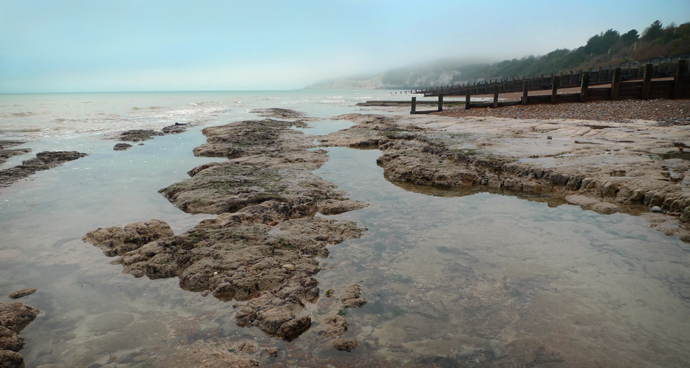 Saturday December 29th (2018) Shore shot. width=